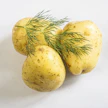Tilli antaa varhaisperunoihin makua, joko keittämisen aikana tai keittämisen jälkeen lisättynä.