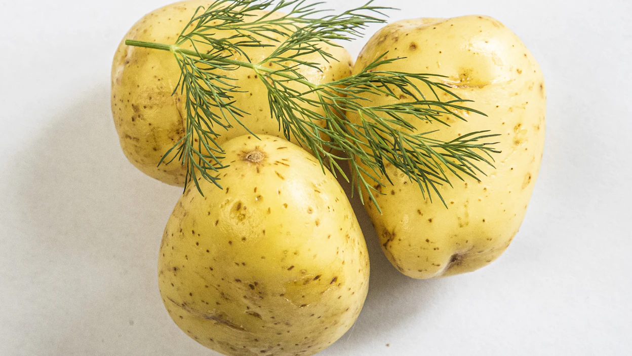 Tilli antaa varhaisperunoihin makua, joko keittämisen aikana tai keittämisen jälkeen lisättynä.