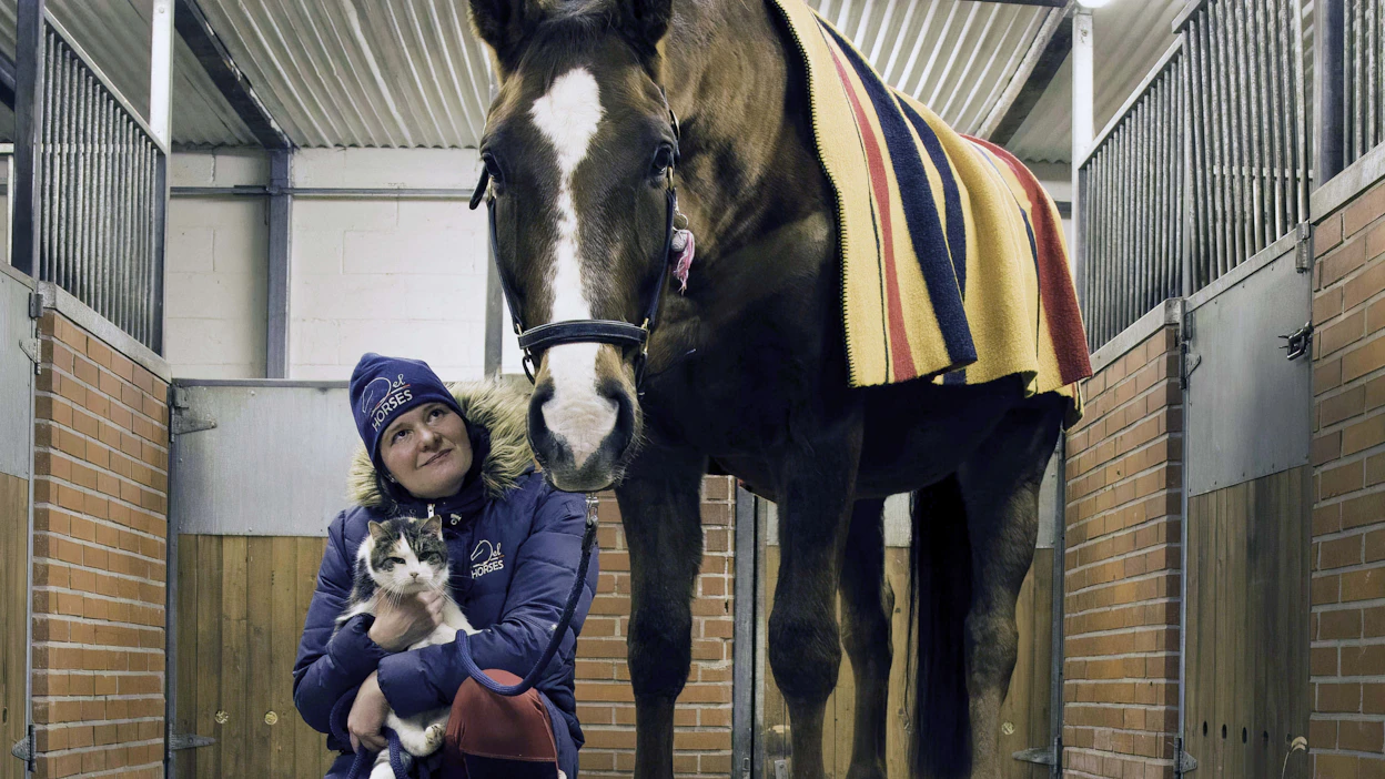 17-vuotias Lissu-kissa on Del-Horsesin tallin vanhin ja ahkerin työntekijä. Tallin kasvatti Del-Leo ja Minna Nieminen arvostavat Lissua ja kissan työn jälkeä, eli jyrsijöistä vapaata tallia.