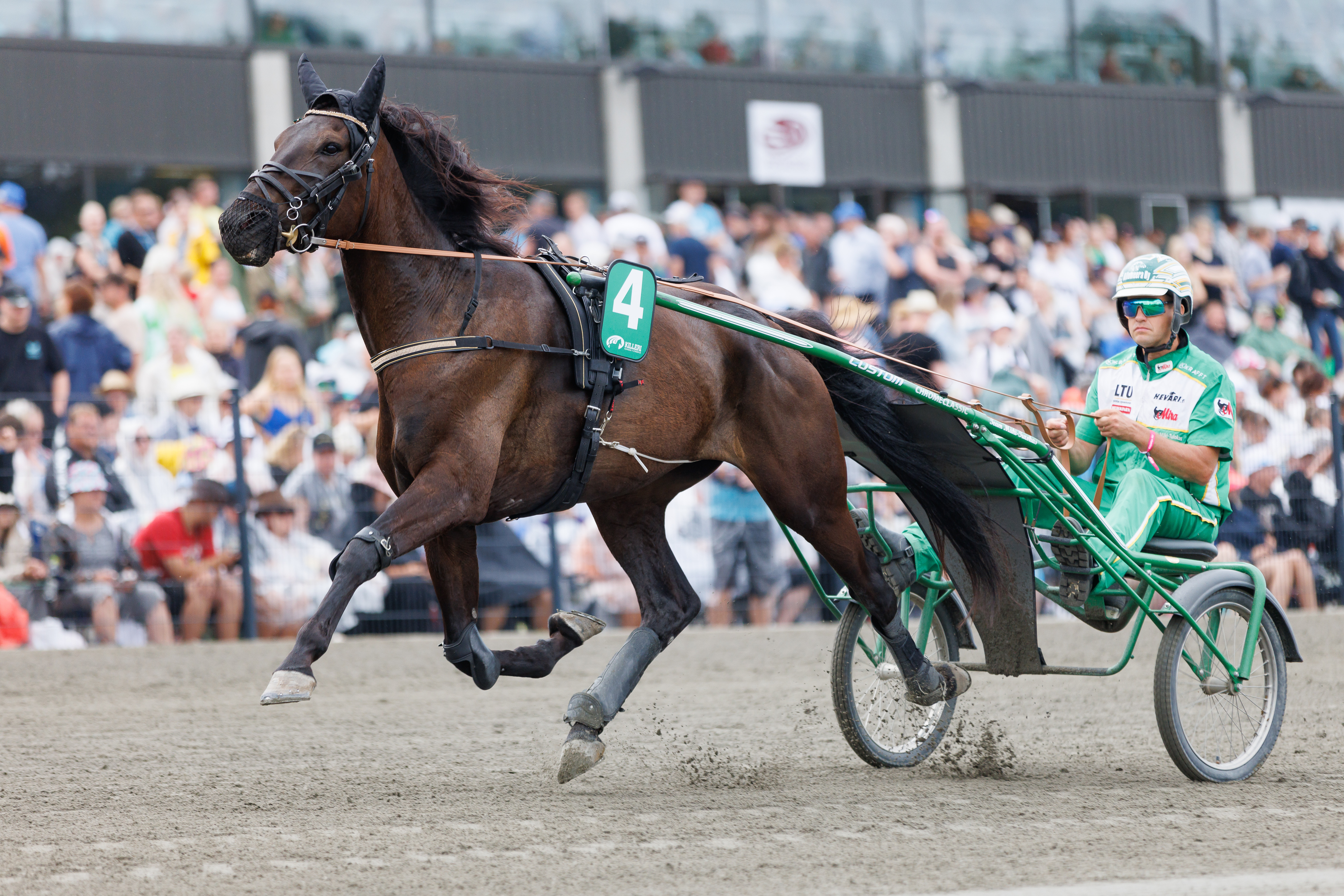 Sahara Dangerousin arvokkaimmaksi voitoksi jäi nelivuotiaana juostu Nousijadivisioonan finaalivoitto Oulussa.