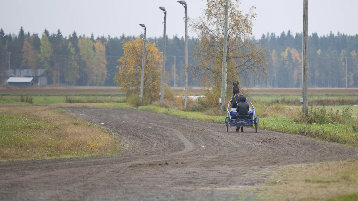 Valmentajana toimimisen positiivisten puolien esille tuominen on toki tärkeää, mutta se ei poista karua todellisuutta., kirjoittaa Etta Pakkanen kolumnissaan. Kuvituskuva.