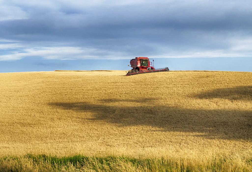 Osa vuoden 2018 Farm Billistä vanhenee jo ensi vuoden syyskuussa. Vehnänpuintia Idahossa.