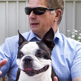 Presidentin paras ystävä. Istuva tasavallan presidentti Sauli Niinistö on bongattu usein lenkkeilemästä koiransa kanssa. Samaan taktiikkaan luotti myös Kekkonen. Bostoninterrieri Lennu kuoli aivolisäkkeen kasvaimeen vuonna 2021.