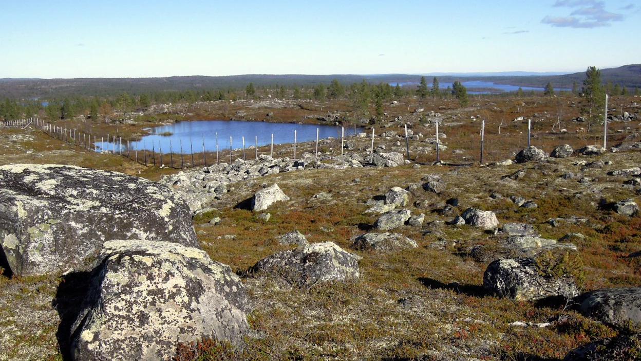 Inarissa on tällä hetkellä voimassa maastopalovaroitus, ja maasto on kuivaa. Arkistokuva on Vätsärin erämaa-alueelta, joka sijaitsee Sevettijärven lähistöllä. LEHTIKUVA / Ritva Siltalahti.
