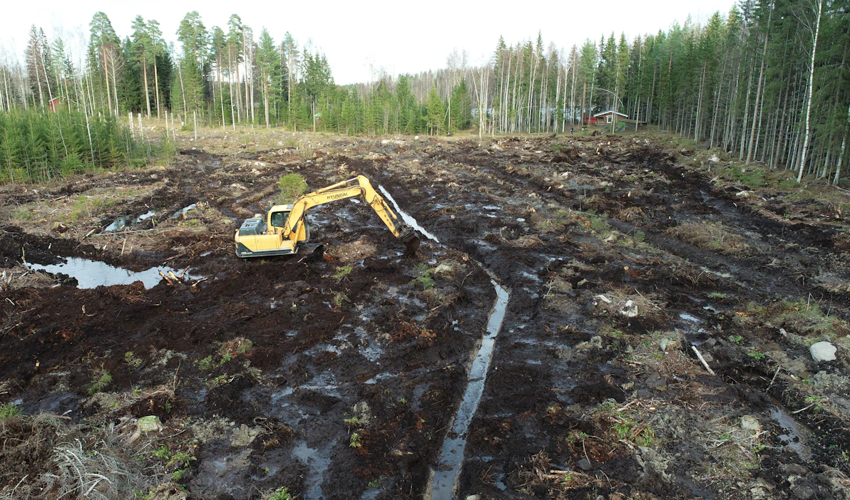 Navero- ja ojitusmätästyksen yhdistelmällä turvepitoisen tuoreen kankaan vesitalous saatiin kuntoon eivätkä taimet kärsineet seuraavana kesänä liiallisesta märkyydestä.