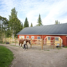 Aada Partanen osti Rautionhovin viime joulukuussa. Hän muutti sinne siskonsa kanssa tänä keväänä. Paikka sijaitsee Ruokolahdella Etelä-Karjalassa.
