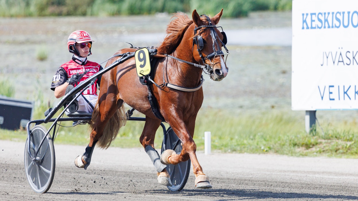 Tanno ja Santtu Raitala jahtaavat finaalipaikkaa Varsakunkkuun.