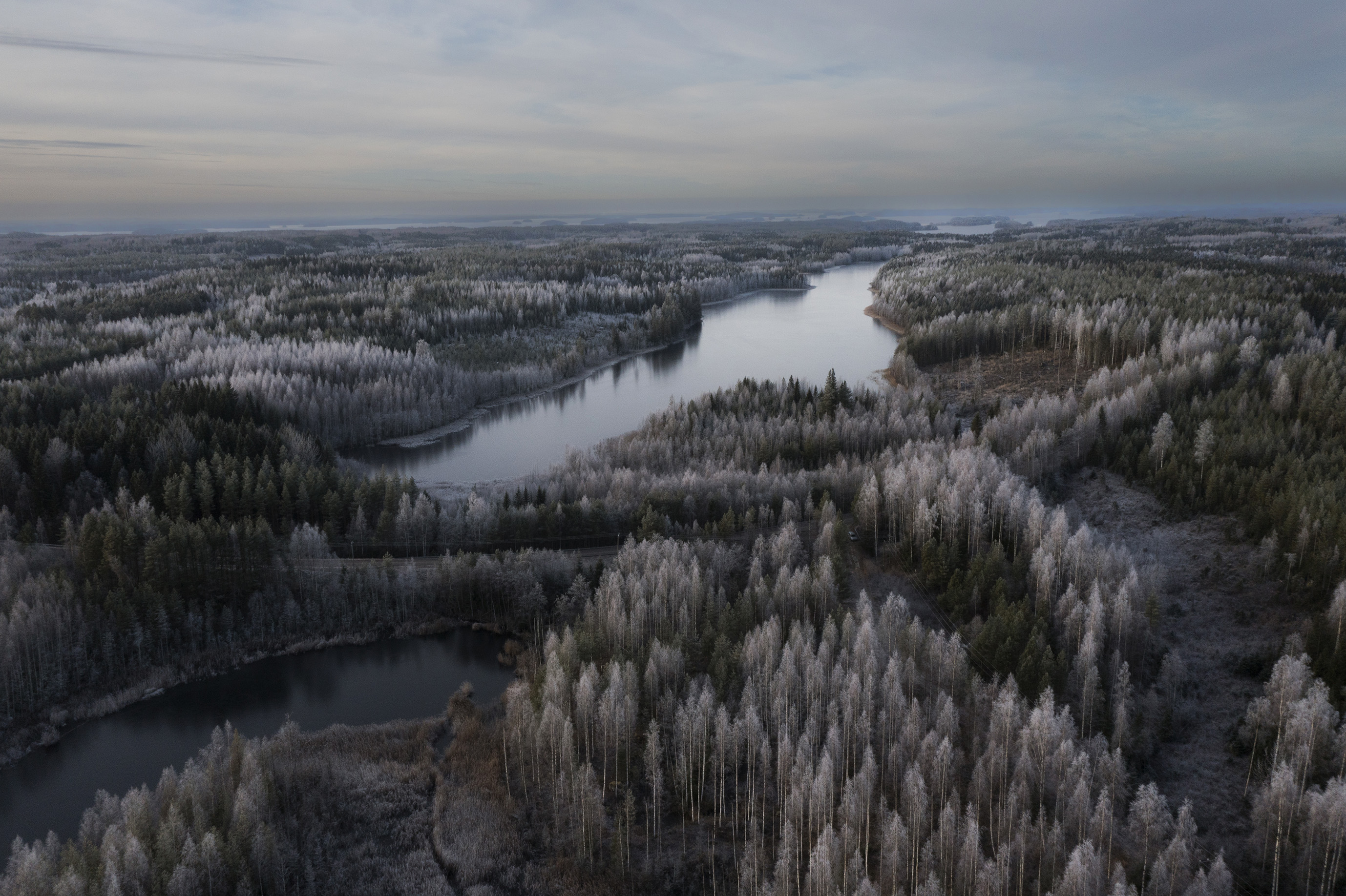 Metsillä on suuri merkitys suomalaisille sekä taloudellisesti että henkisesti.