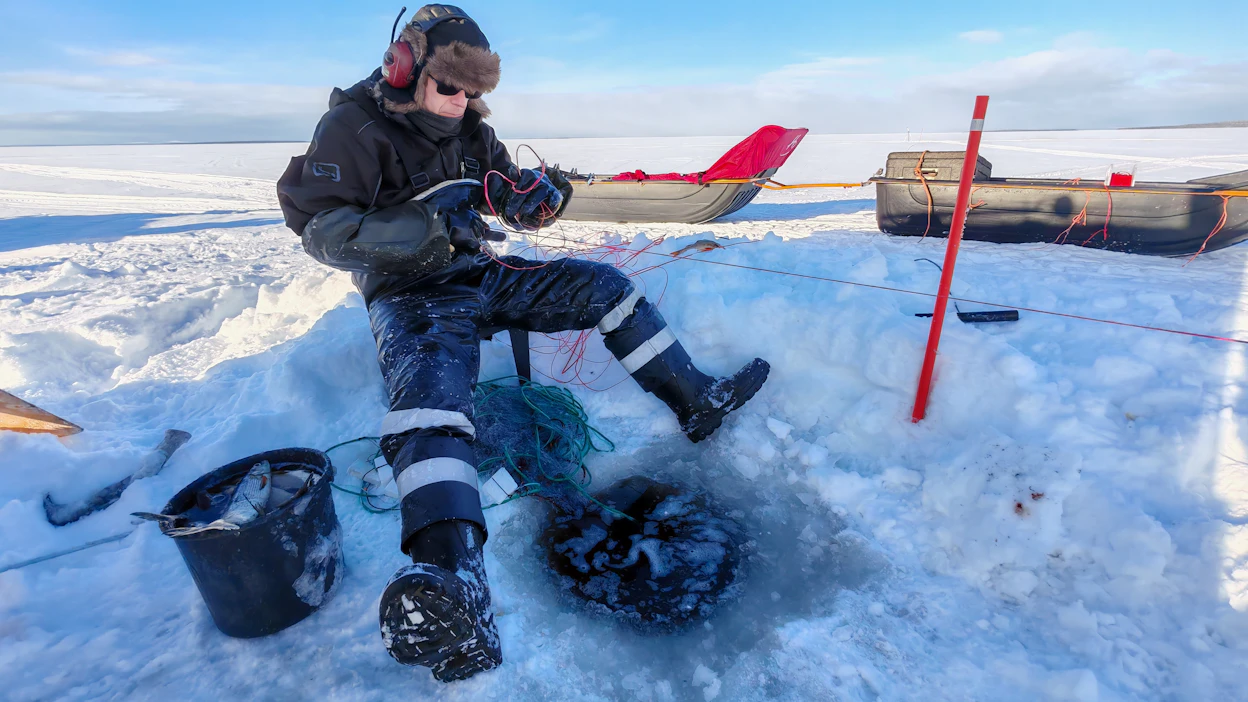 Lähes joka kymmenes suomalainen pilkki vuonna 2024.