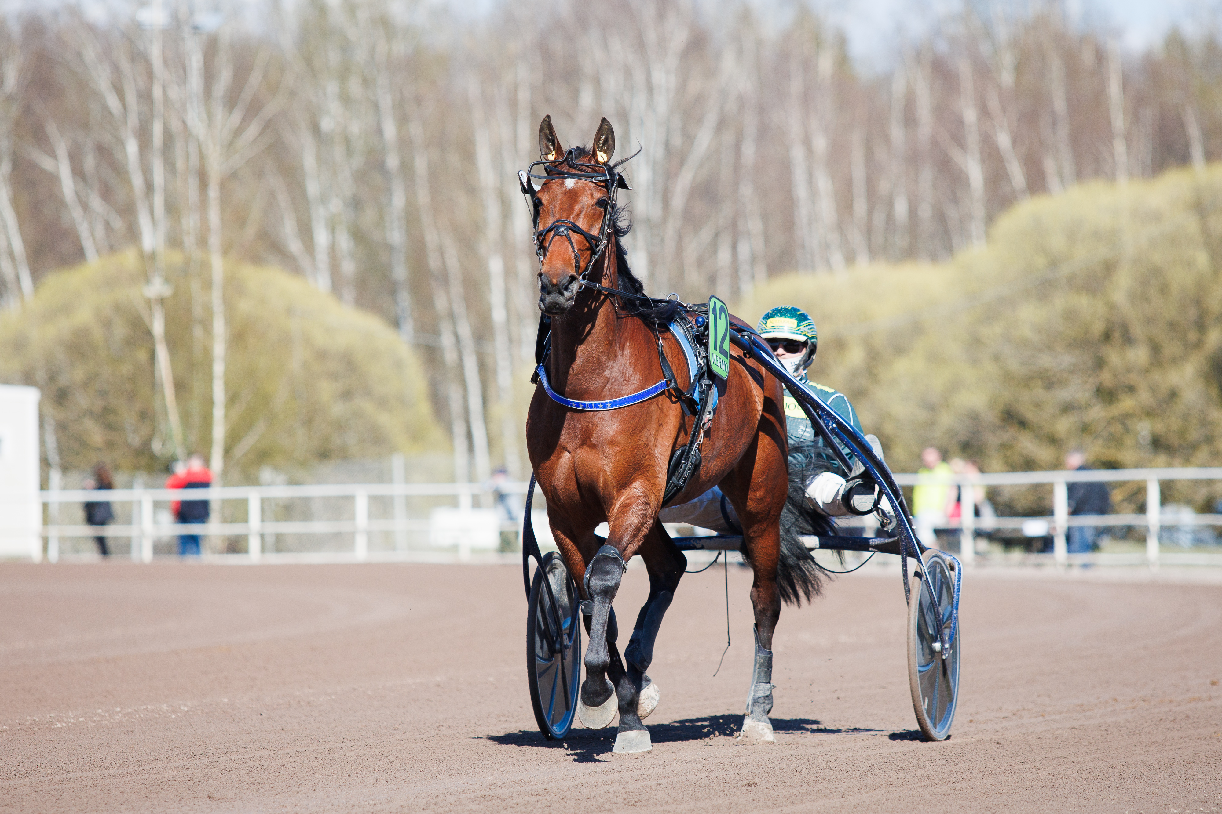 EL Indeed kerää luottoa lakeuksilla lauantaina.