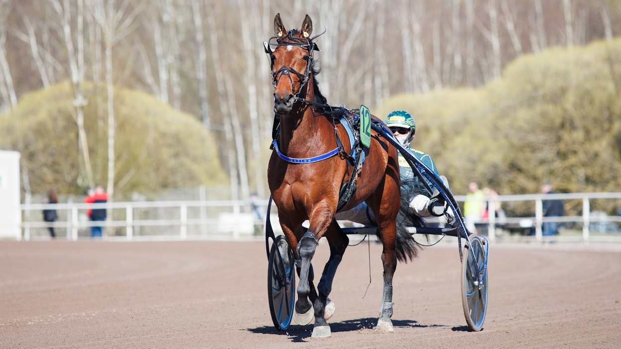 EL Indeed kerää luottoa lakeuksilla lauantaina.