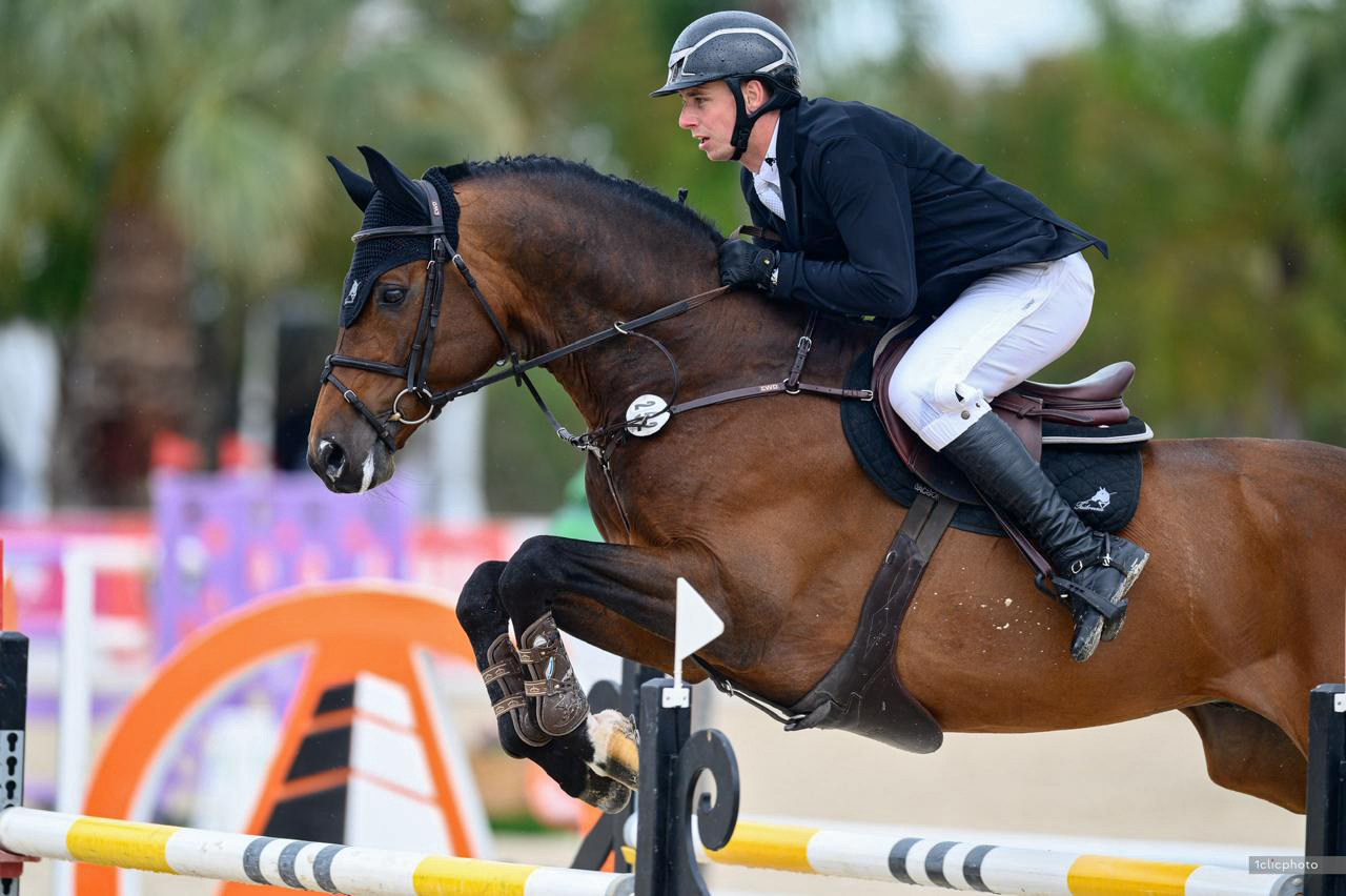 Tailormade Diarado’s Boy saapuu Suomeen. Ori itse on hypännyt 145–150-tasoa.