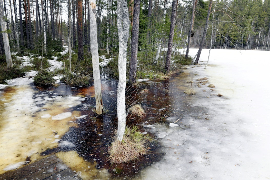 Ilmastonmuutos on jo muuttanut tulvien luonnetta Suomessa. HEIKKI SAUKKOMAA / LEHTIKUVA.