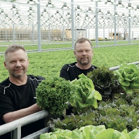 Veljekset Jussi ja Ismo Lindroos jatkavat isoisänsä perustamaa yritystä. 