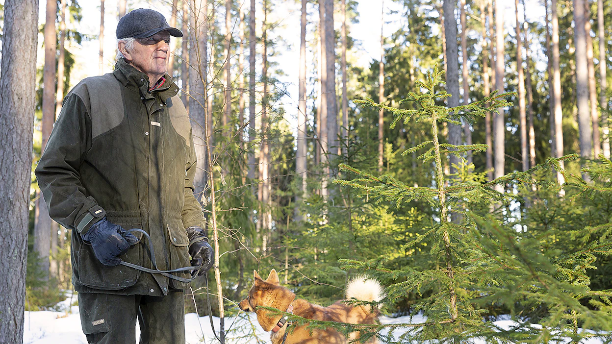Aarre-lehti haastatteli Matti Huhtamaata vuonna 2022. Mukana metsässä kulki silloin suomenpystykorva Hippu.