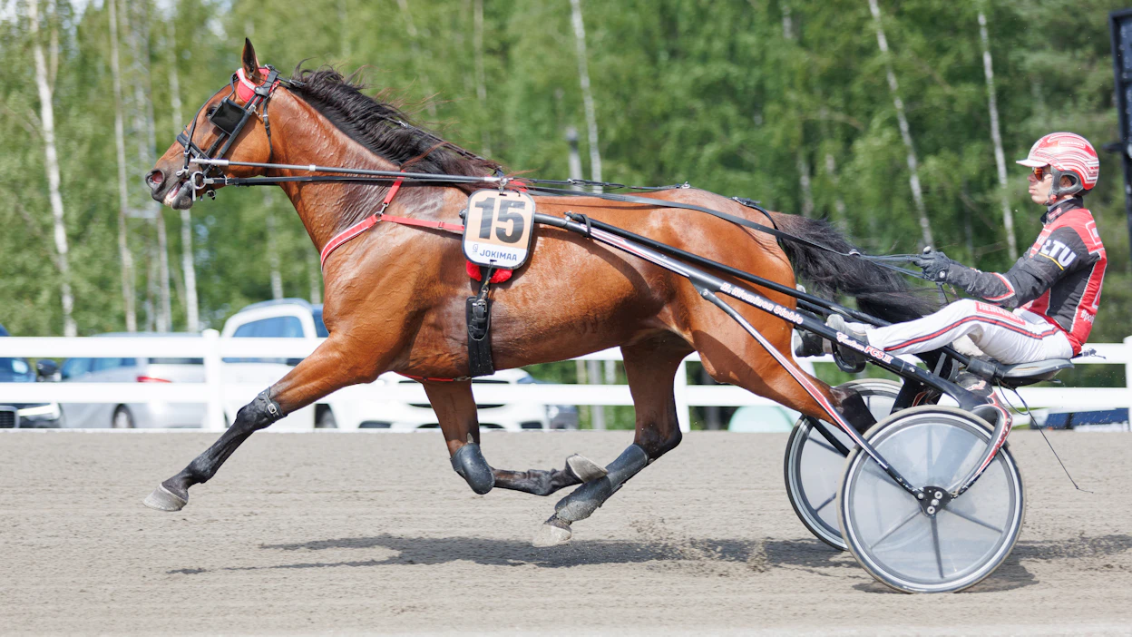 Rosima voitti kaudella 2023 komeasti 10 kertaa. Kaikkiaan sillä on 17 ykkössijaa.