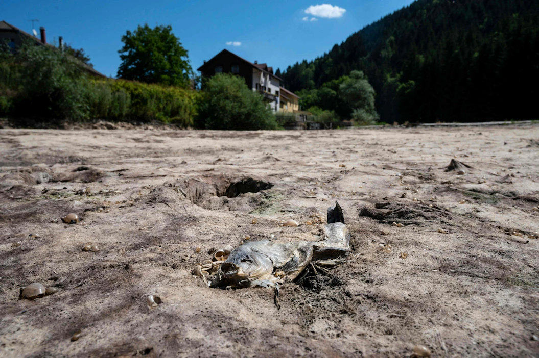 Erityisesti 30-vuotiaat ja sitä nuoremmat kertoivat huomioivansa luontokadon ja ilmastonmuutoksen äänestäessään. Kuvassa kesän 2020 helleaallossa kuivunut Doubs-joki Ranskassa. LEHTIKUVA/AFP.