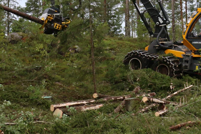 Juurikääpä on yksi merkittävimmistä taloudellisten tappioiden aiheuttajista suomalaisessa metsätaloudessa, ja sen torjunta on tärkeää myös yleisesti metsien terveyden näkökulmasta. Torjuntavelvoite kuuluu metsän hakkaajalle ja koskee yli 10 cm kokoisia havupuun kantoja.