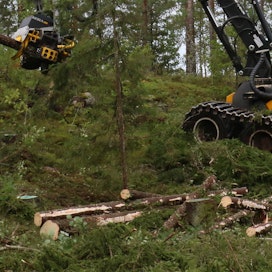 Juurikääpä on yksi merkittävimmistä taloudellisten tappioiden aiheuttajista suomalaisessa metsätaloudessa, ja sen torjunta on tärkeää myös yleisesti metsien terveyden näkökulmasta. Torjuntavelvoite kuuluu metsän hakkaajalle ja koskee yli 10 cm kokoisia havupuun kantoja.