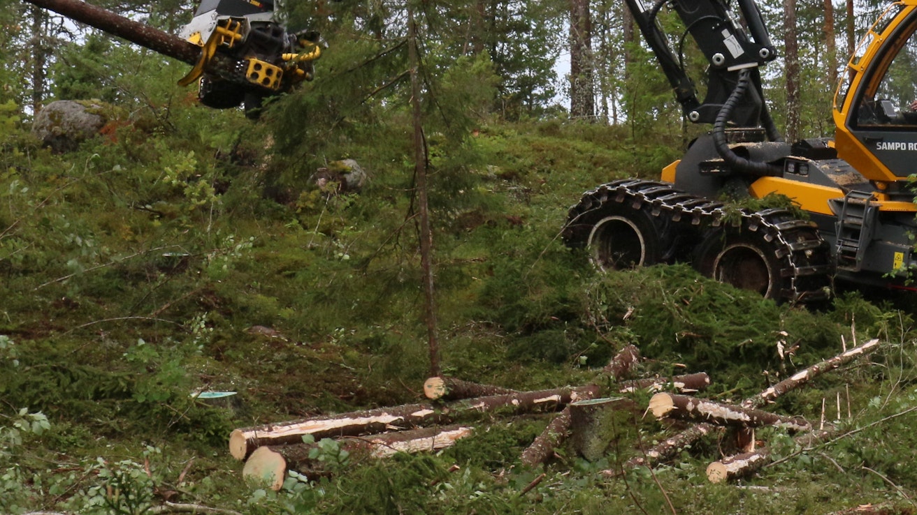 Juurikääpä on yksi merkittävimmistä taloudellisten tappioiden aiheuttajista suomalaisessa metsätaloudessa, ja sen torjunta on tärkeää myös yleisesti metsien terveyden näkökulmasta. Torjuntavelvoite kuuluu metsän hakkaajalle ja koskee yli 10 cm kokoisia havupuun kantoja.