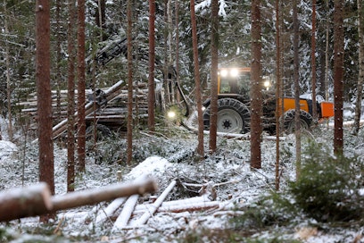 Koneyrittäjät ja Teollisuusliitto pääsivät sopuun metsäkonealan työehdoista.