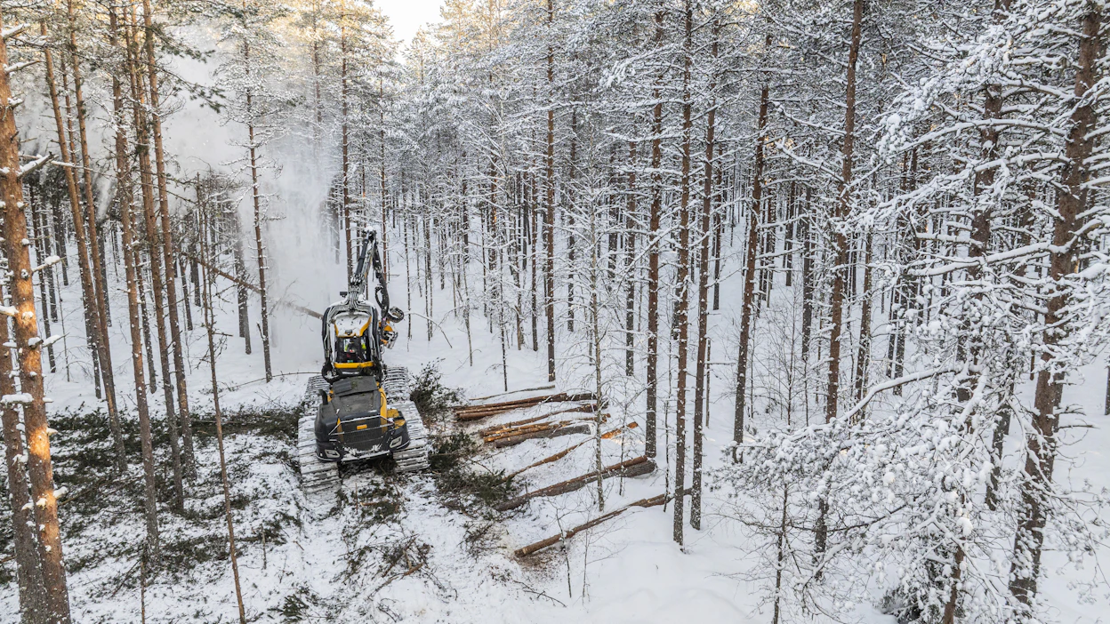 Esimerkiksi metsään jääneet hakkuutähteet ja luonnonpoistuma mukaan lukien elävän pystypuuston määrä väheni viime vuonna 82 miljoonaa kuutiota.