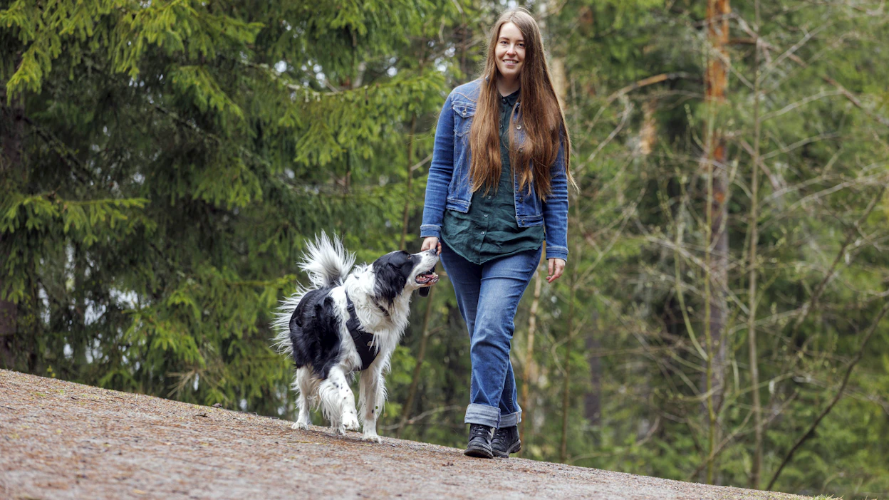 Mari Rengon unelmasta tuli lopulta totta ja kirjoittamisesta osa jokapäiväistä elämää. Nyt Renko toivoo löytävänsä tasapainoisen arjen, johon kaikki osa-alueet mahtuvat sulassa sovussa. Hugo-koiralla on tässä tärkeä rooli.