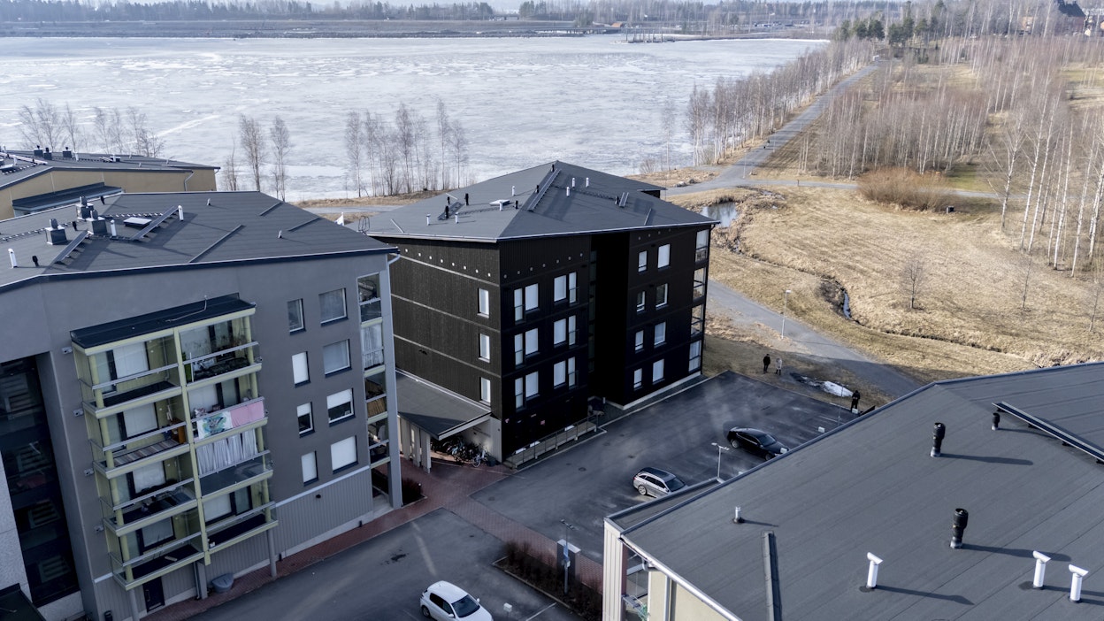 Tampereen Näsijärven Niemenrantaan nousseiden kerrostalojen asukkaille tehdyissä kyselyissä puu osoittautui monen kohdalla merkittäväksi viihtyvyyttä lisääväksi tekijäksi.