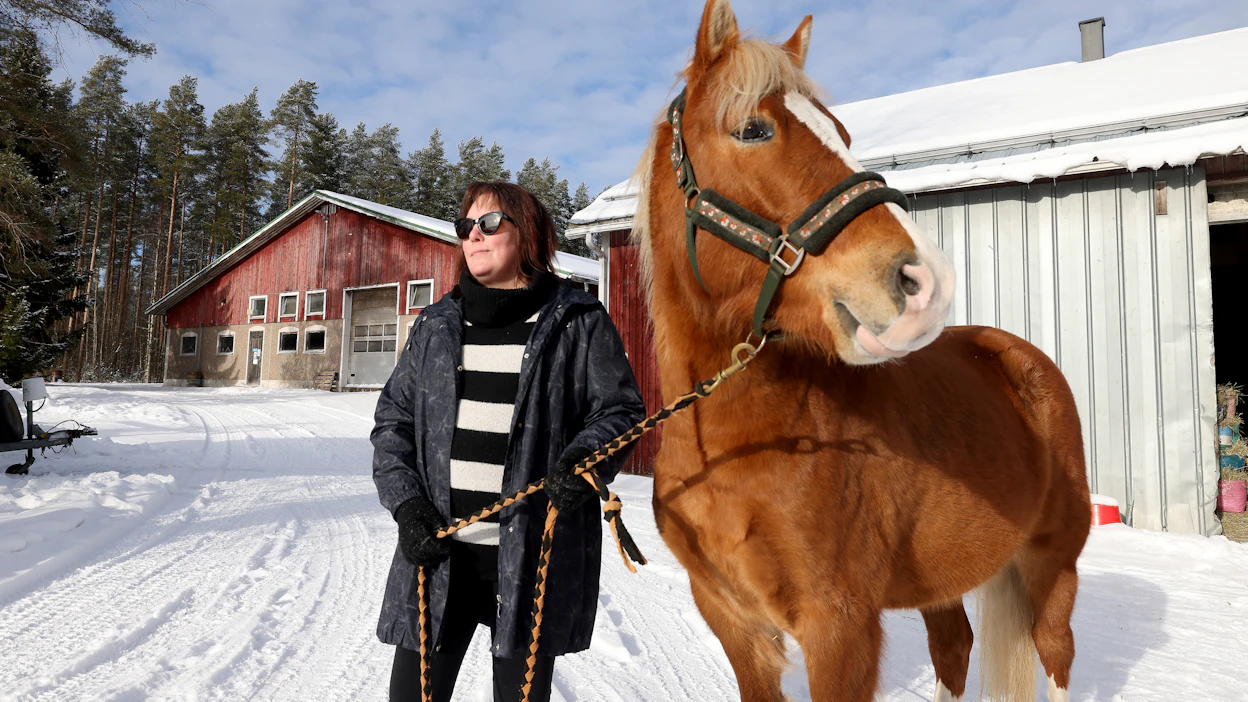Maidontuottaja Sari Teerioja avaa maatilojen tarkastuksiin viljelijän näkökulmasta liittyviä kipupisteitä. Kuvassa tyttären kasvattihevonen Viktor.