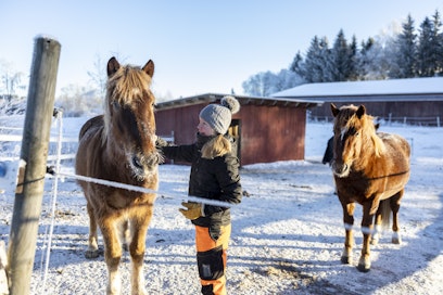 Krista Autere työskentelee hevostenhoitajana Osaralla ja ohjaa opiskelijoita tallilla.