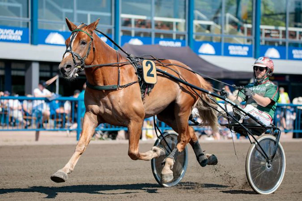 Viesmannia on ohjastanut pääosin valmentaja Raineri Puikkonen itse, mutta myös lainaohjastajia, kuten kuvassa Hannu Torvinen, on vieraillut kärryillä.