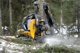 Uudellamaalla metsästä maksettiin keskimäärin 6 600 euroa hehtaarilta viime vuonna.