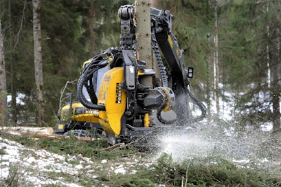Uudellamaalla metsästä maksettiin keskimäärin 6 600 euroa hehtaarilta viime vuonna.