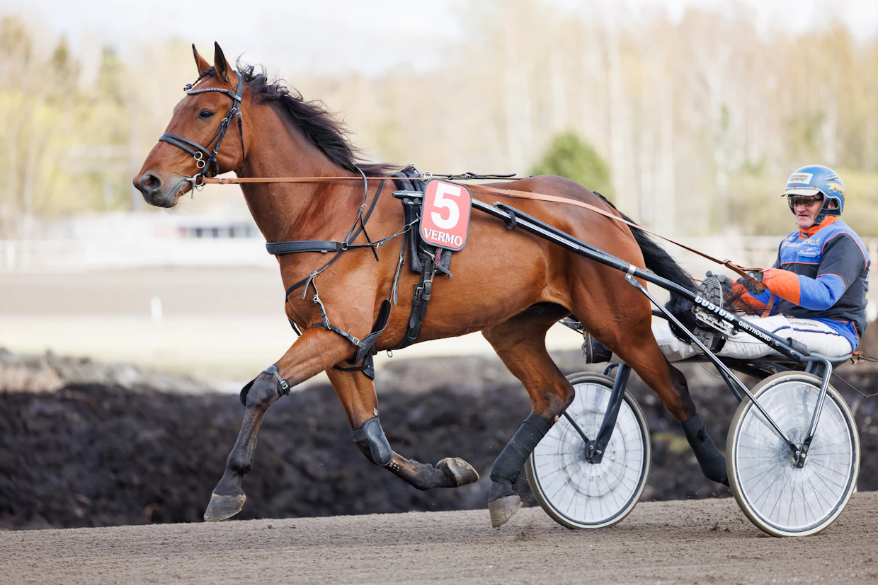 You Know Me on startannut 29 kertaa. Ruuna on voittanut urallaan kerran.