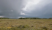 Kuvituskuvaa.