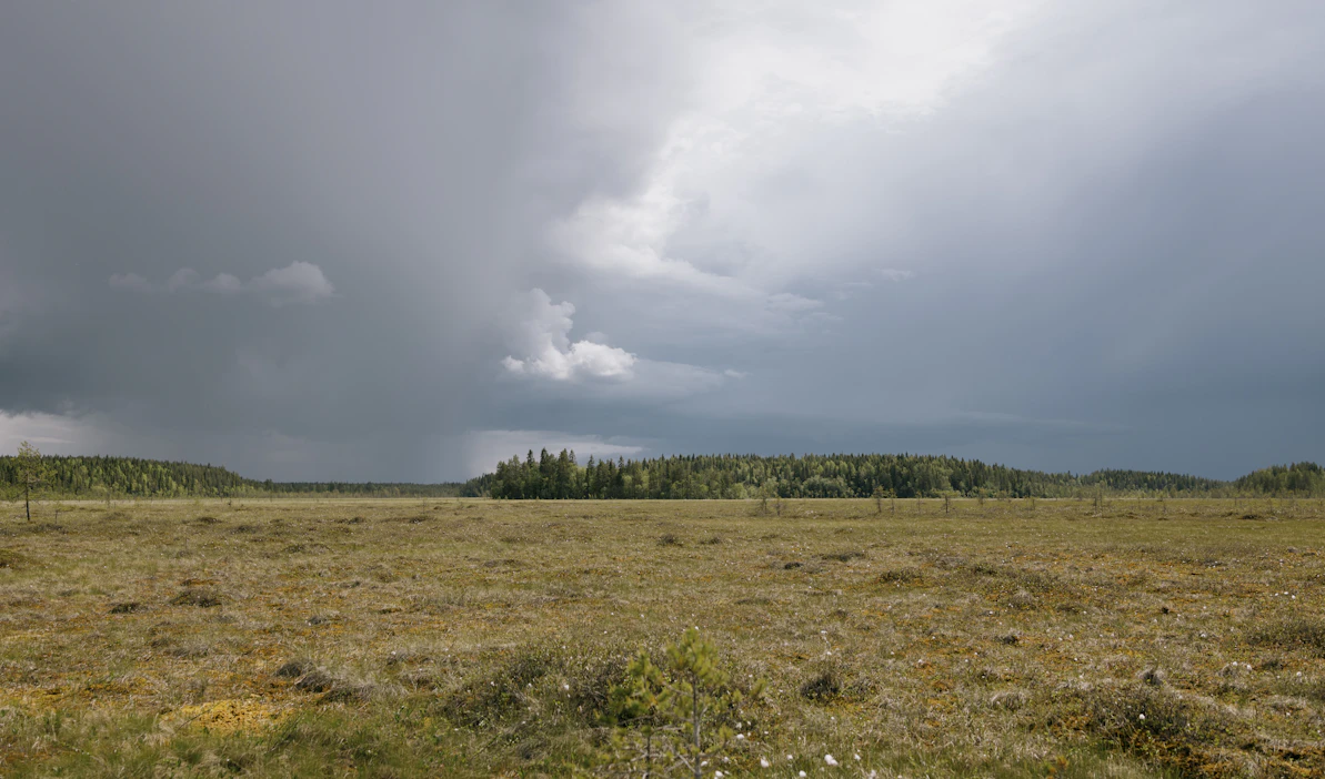 Kuvituskuvaa.