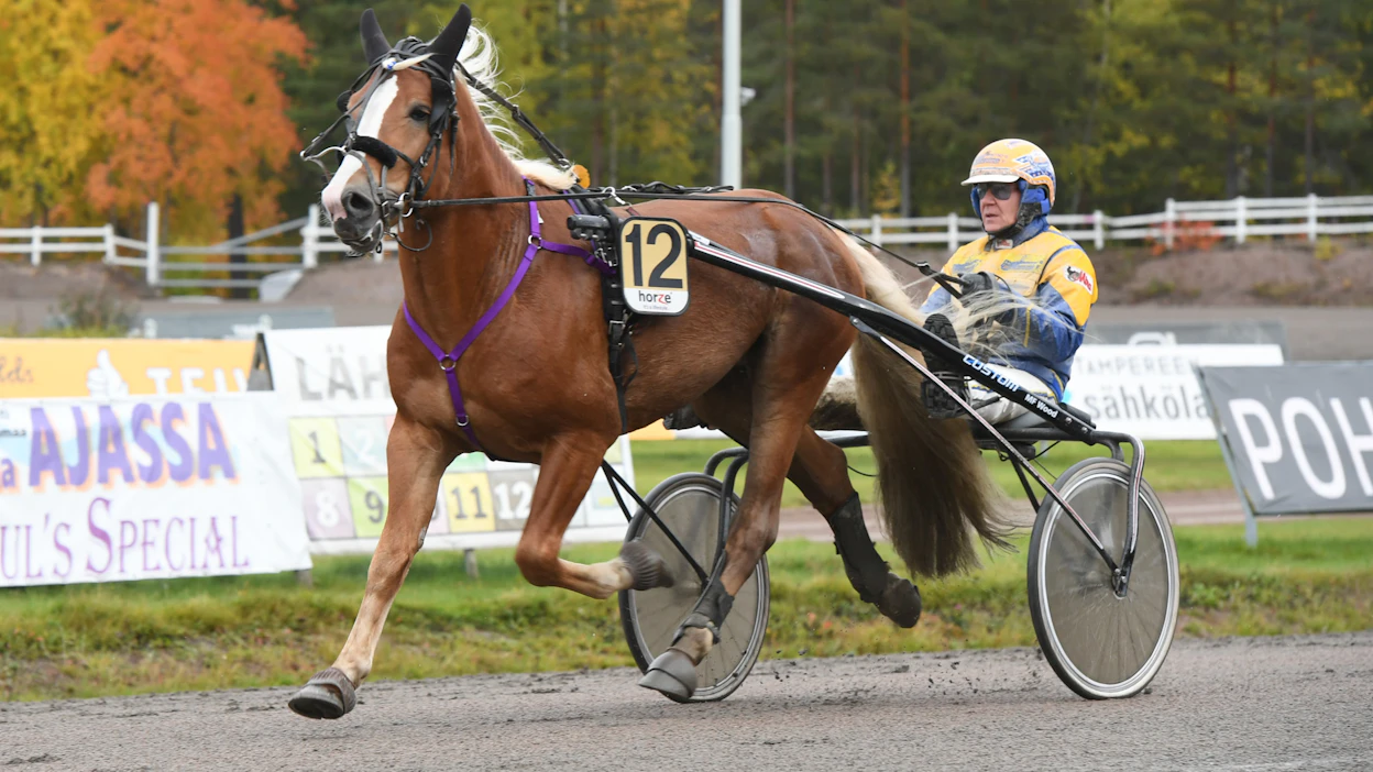 Laurilan Jokeri sijoittui vime syksyn Kriterium-finaalissa Kari Venäläisen ohjastamana kuudenneksi.