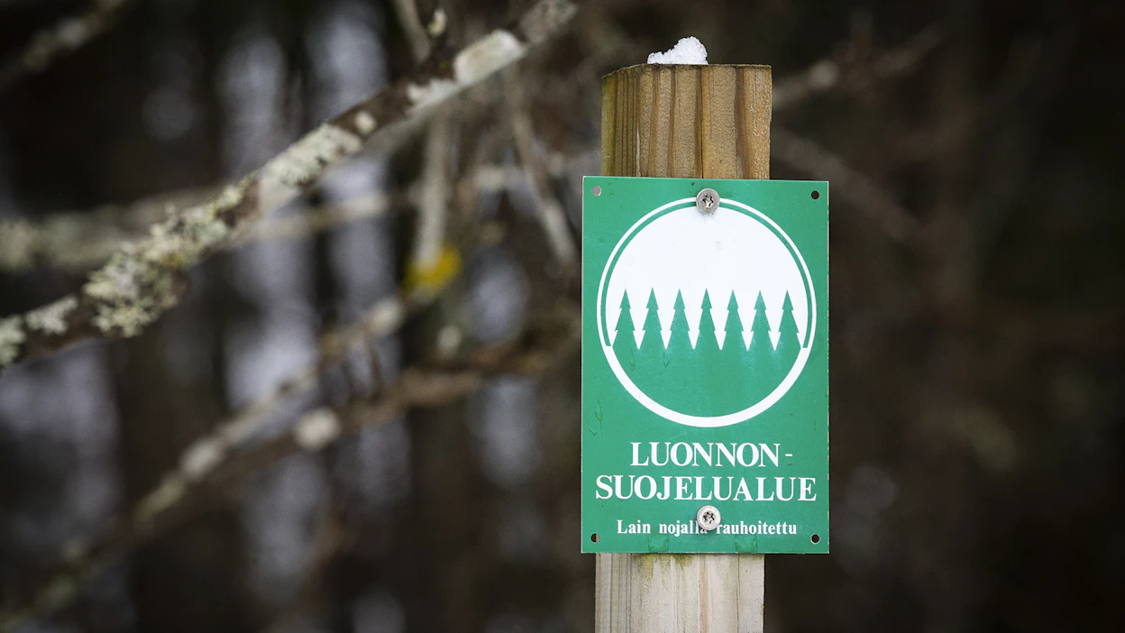 Etelä-Suomessa suojelualueet ovat pieniä ja hajallaan, eivätkä ne Helsingin yliopiston mukaan riitä ylläpitämään lämpimään sopeutuneiden lintulajien kantoja. Kuvituskuva.