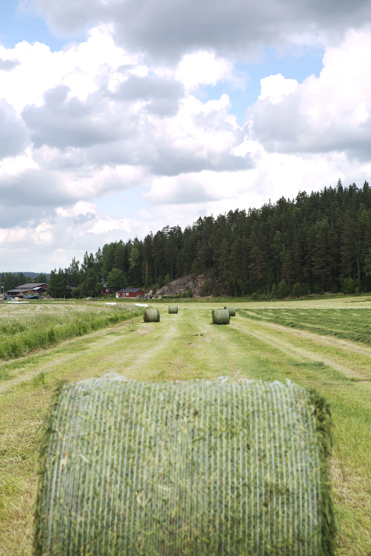Asiassa vaikutti se, että peltoja oli viljelty aktiivisesti ja toiminnalle oli liiketaloudelliset perusteet.