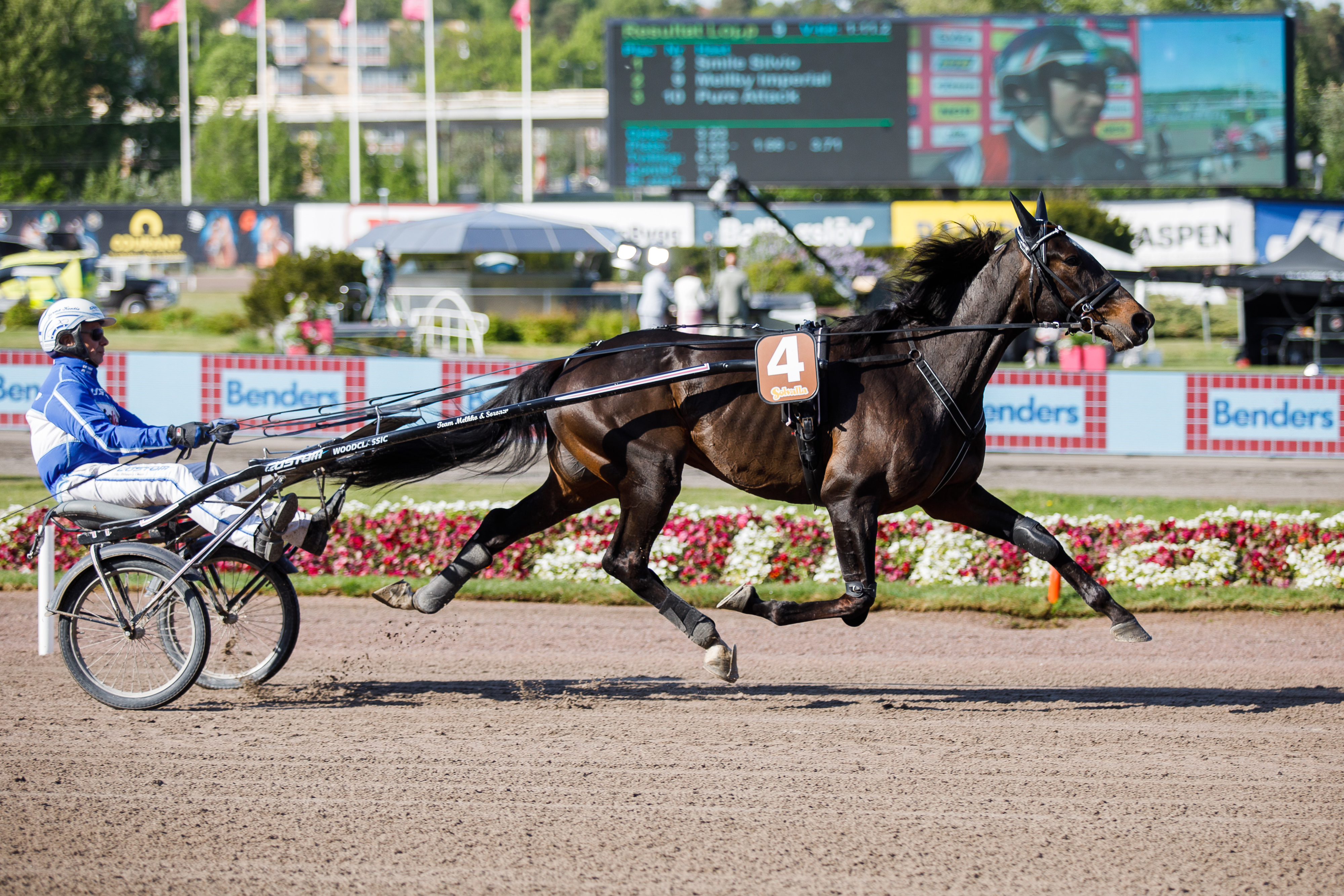 Katja Melkon valmentama ja Jorma Kontion ohjastama High on Pepper tavoittelee miljoonan kruunun ykköspalkintoa Harper Hanover -lähdöstä.