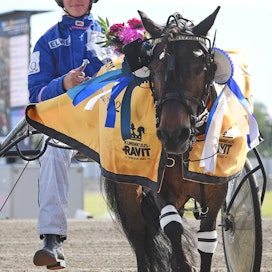Forssan kuninkuusraveissa ponilähdön Broängens Ghosakramalla voittanut Emmi Innanen osallistuu B-kategorian Ponikypärät-sarjaan kuluvalla kaudella.