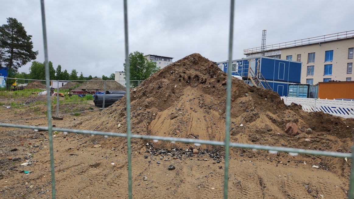 Törmäpääskyt muuttivat kerrostalolähiöön Oulussa Toppilan kaupunginosassa.