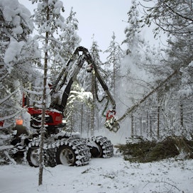 Metsä Group tarjoaa jäsentensä kevään puukauppoihin takuuhintaa ja vähintään euron bonusta kuutiometriltä.