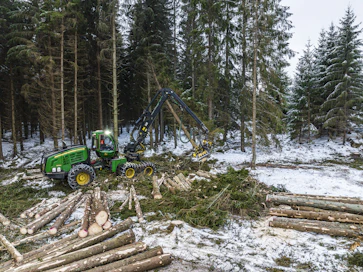 Tukkien keskikantohinnat ovat 11–12 prosenttia korkeammat kuin vuoden alussa.
