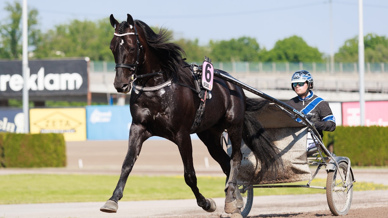Aleksi Flink lämmittämässä The Flying Eaglea toissa vuoden Elitloppet-lauantaina.