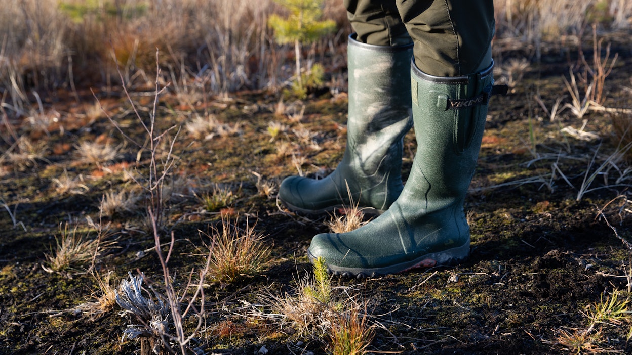 Metsitystuella on tähän mennessä metsitetty noin 4 700 hehtaaria joutoalueita.