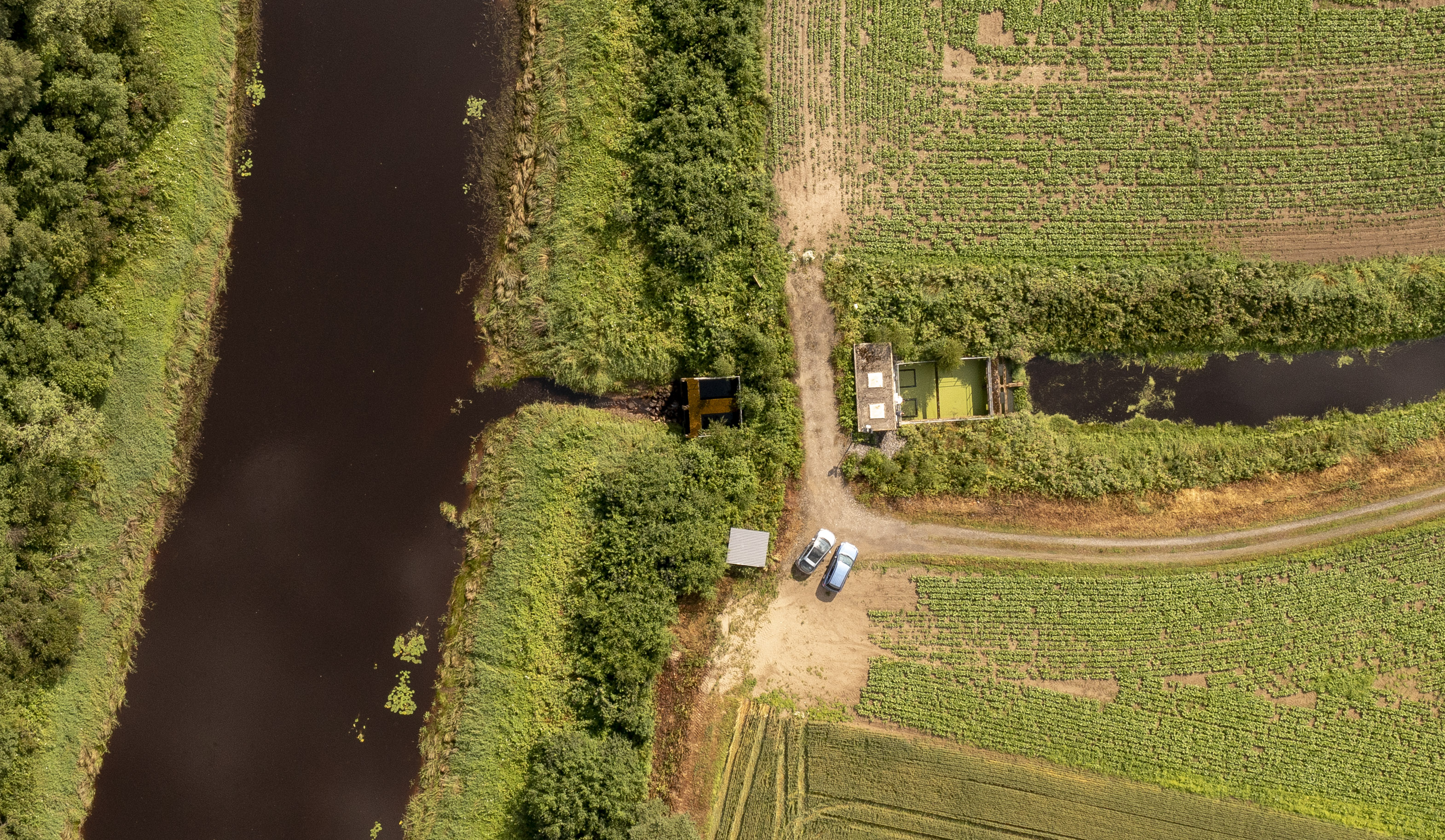 Vesistöjen varsille perustetut suojavyöhykkeet suojaavat ravinnevalumilta. Kuvituskuva.
