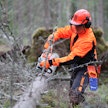 Turvallisinta on aloittaa karsimalla kaatuneesta puusta oksat.