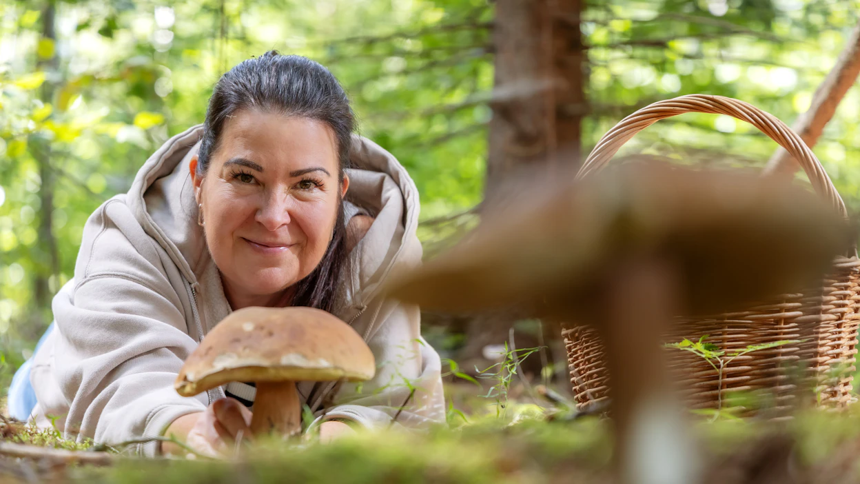 Mari Moilasen ensimmäinen sienivideo kertoi tateista. Moilanen kehottaa perehtymään erilaisiin metsätyyppeihin ja siihen, millaisia sieniä mistäkin maastosta kannattaa etsiä. Esimerkiksi kuvan herkkutatti eli kivitatti viihtyy kuusimetsän siimeksessä.