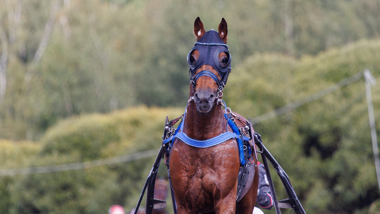 Main Stage pääsee vihdoinkin näyttämään voimansa Pariisissa.